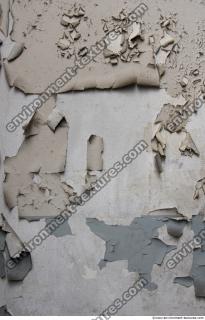 Walls Plaster